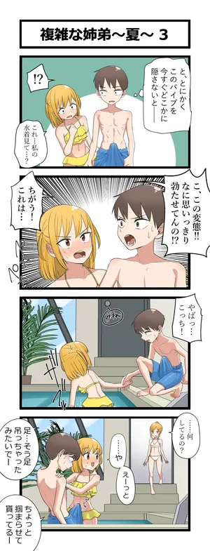 複雑な姉弟～夏～