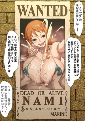 [Iwao] Nami-san (One Piece)