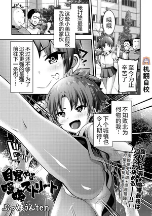 [ぷっくまうんten] 目覚めよ喧嘩ストリート丨觉醒吧，街头斗殴 (COMIC ネクロシス vol.1) [小水笔机翻自校]