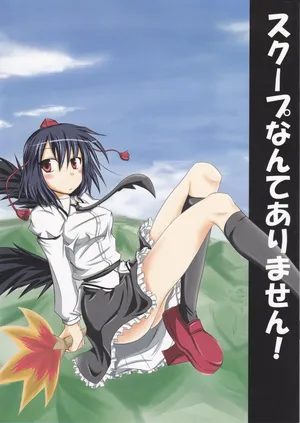 (FreeNote) There are no scoops here!