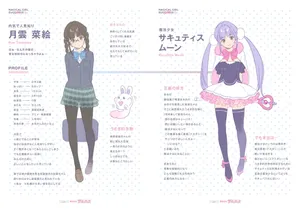 [Ogre] 魔法少女サキュティス