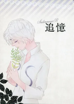 [Yumeutsutsu (Tsukasa)] Tsuioku (Bishoujo Senshi Sailor Moon)