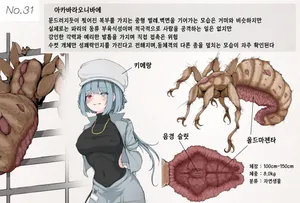 [Gura] Insect Research Report No.31 [Korean]