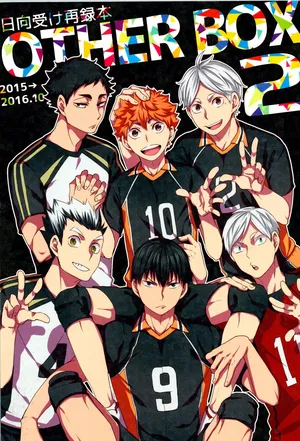 (RTS!! 15) [Yojohan (fzou)] Hinatauke Sairokuhon OTHER BOX 2 (Haikyuu!!)