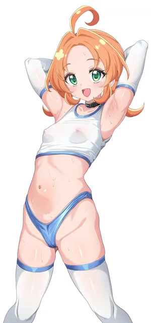【プリキュア】dskb体操服明智さん