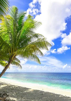 [Ackerman] 我的妈妈被损友穿上了 24-25