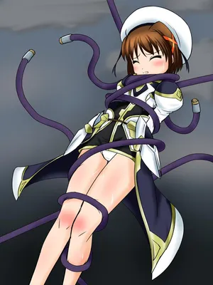 [BindMix] Mahou Shoujo Kanzen Kousoku Catalogue - Hayate & Reinforce II