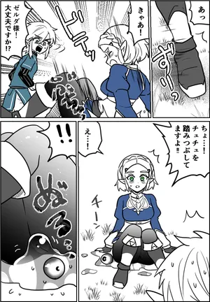 [わさび ] チュチュの事故 (ゼルダの伝説)