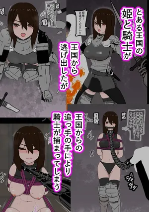 騎士・姫敗北拘束記録