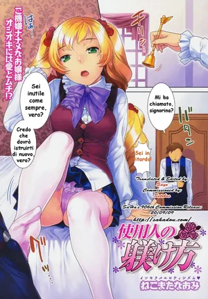 [Nekomata Naomi] Shiyounin no Shitsukekata (COMIC Megastore 2009-08) [Italian]