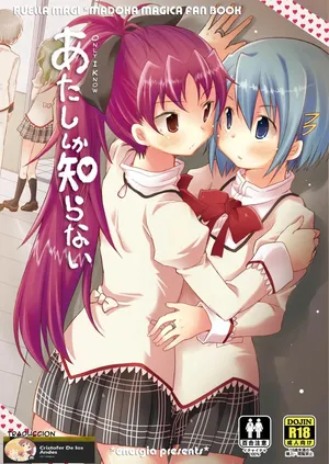(C86) [Energia (Pikachi)] Atashi shika Shiranai | Only I Know (Puella Magi Madoka Magica) [ESPAÑOL] [CristoferDeLosAndes]