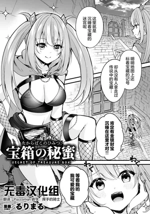 [るりまる] 宝箱の秘蜜 [Chinese] [无毒汉化组]