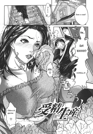 [Sawada Daisuke] Jusei Seisan (Mamagoto) [Italian]