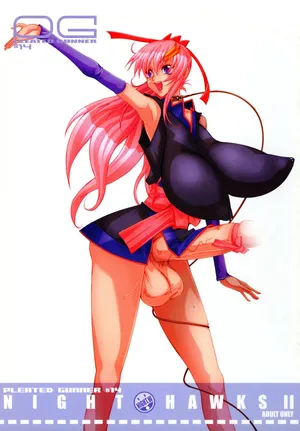 (C69) [HGH (HG Chagawa)] Pleated Gunner #14 - Night Hawks 2 (Gundam SEED DESTINY)