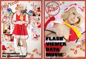 [SEVEN DOLLS (坂口みほの)] みほのこれくしょんvol.5  ×東方フランドール
