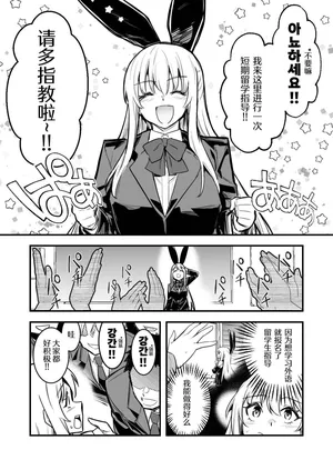 (同人誌) [レフトハンド] 留学先で熱烈歓迎されちゃう冒険者ちゃん【我得重新集结部队个人汉化】