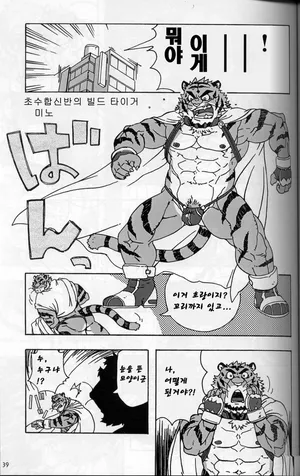[Dragon Heart (gamma)] Choujuu Gasshin Build Tiger 0 | 초수합신 빌드 타이거 0 [Korean]