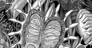 [Double Deck] Shibo sei shokubutsu no mori