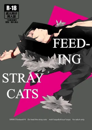 [Sankaku-kuuu] Feeding Stray Cats - Durarara doujin [English] {KCK-Amateur Scans}