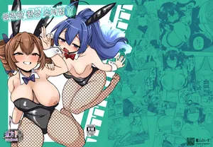 [Shoujo Rakugakichuu (Himajin no Izu)] skeb na Gensou Shoujo Shuu 11 | 음란한 환상 소녀집 11 (Touhou Project) [Korean] [Digital]