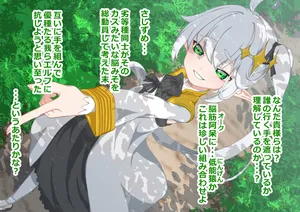 [ひつじときつね]エルフ王女を捕らえて下品乳の娼婦に調教