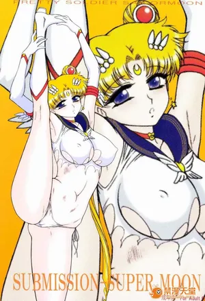 (C84) [BLACK DOG (Kuroinu Juu)] SUBMISSION-SUPER MOON