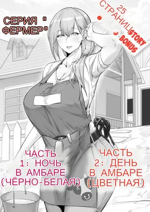 Farmer Series Night And Day