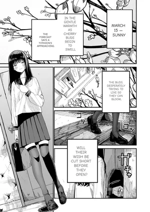 [Mameroku] Mr. Kimura's observation diary