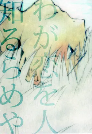 [Cobitodou] Waga Koi wo Hito Shirurameya (Hetalia Axis Powers) [English]
