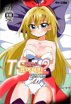 (C101) [Saneyaro] TS 마법소녀 퓨어 래빗 2 금단의 위안 TS Mahou Shoujo Pure Rabbit 2 Kindan no Nagusamex