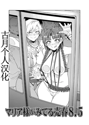 [Alice no Takarabako (Mizuryu Kei)] Maria-Sama ga Miteru Baishun 8.5 (Maria-sama ga Miteru) [Digital][古月个人汉化]