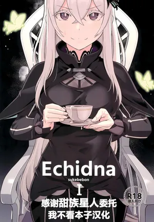 (C99) [Ohanabatake (Siseki Hirame)] Echidna sukebebon I (Re:Zero kara Hajimeru Isekai Seikatsu) [Chinese] [甜族星人x我不看本子汉化] [Digital]