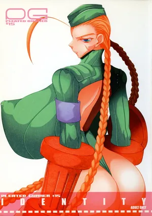 (C70) [HGH (HG Chagawa)] Pleated Gunner 15 - IDENTITY (Street Fighter)